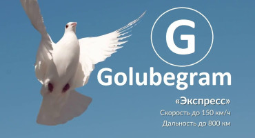 цифровой ID в МАХ - фото - 1